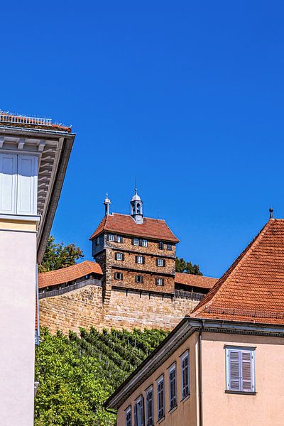 BADEN-WÜRTTEMBERG : ESSLINGEN AM NECKAR van Photoart-Naegele