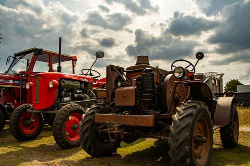 Vieilles fripouilles