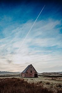 Texel XXIII