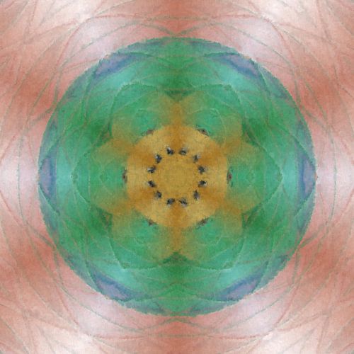 Abstract flower mandala