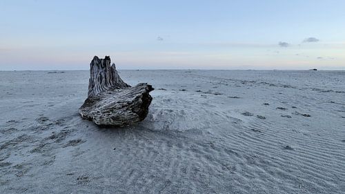 The Beauty of Silence 1