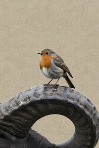 Rotkehlchen auf einem Horn aus einem Steinbuch – Surrealistischer Tierdruck mit industriellem Twist