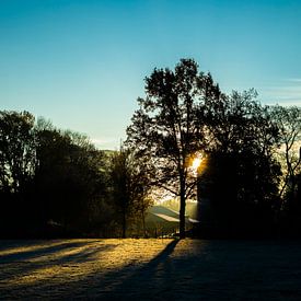 Zonsopgang in het park op een wintermorgen van Bart van Lier
