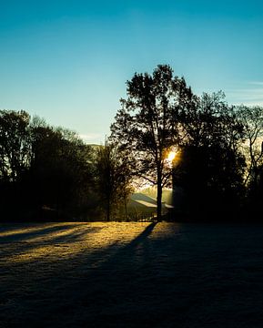 Lever de soleil dans le parc un matin d'hiver sur Bart van Lier