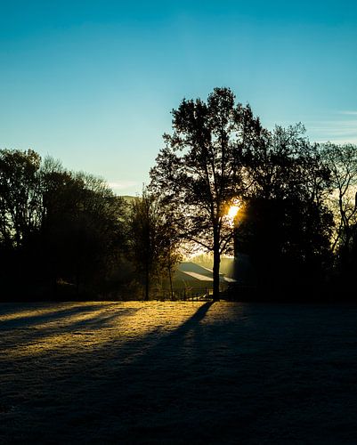 Zonsopgang in het park op een wintermorgen