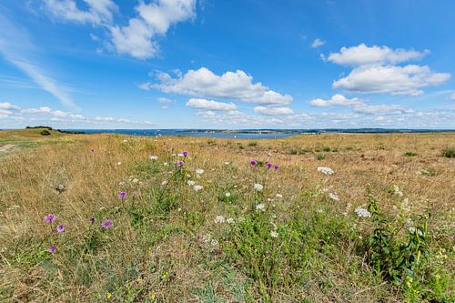 Groß Zicker, Blick in die Hagensche Wiek, Reddevitzer Höft