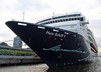 Mijn schip 1