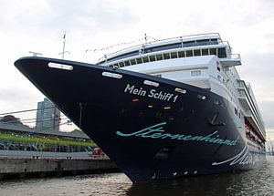 Mein Schiff 1