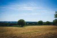Flemish Ardennes
