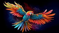 Colourful parrot
