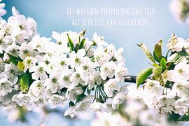 Het was geen verspilling van tijd als je er iets van geleerd hebt - bloesem - christelijke teksten by Wilma Meurs