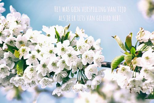 Het was geen verspilling van tijd als je er iets van geleerd hebt - bloesem - christelijke teksten