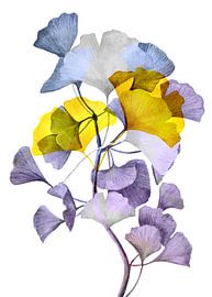 ginko floral decoration #ginko by JBJart Justyna Jaszke