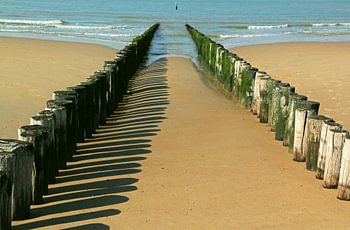 Buhnen in Breskens ( Nederlande )