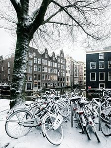 Cyclisme dans la neige à Amsterdam
