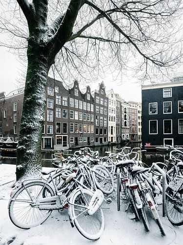 Fietsen in de sneeuw in Amsterdam