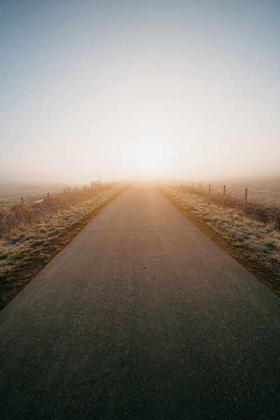 Middelburg : un lever de soleil froid 4 par Andy Troy