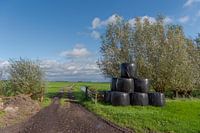 Polder statue at hamlet De Donk