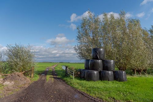 Statue de polder au hameau De Donk