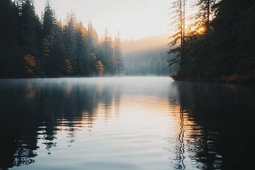 Rustige ochtend bij bosmeer