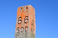 66