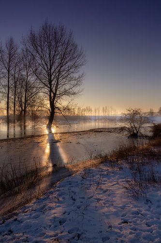 Ice cold morning in the Ooijpolder
