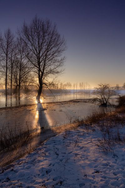 Eiskalter Morgen im Ooijpolder von Erik Bergmans
