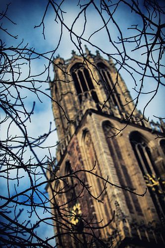 De Utrechtse Dom bekeken door kale wintertakken (kleur)