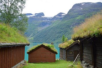 Idyllische locatie naast het Lovatnet meer van Frank's Awesome Travels