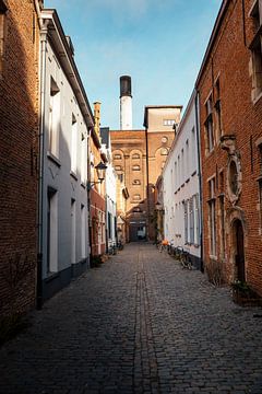 Brouwerij het Anker in Mechelen van Sven van Rooijen