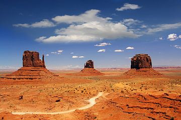 Monument Valley van Renate Knapp