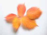 Playful autumn colours 4