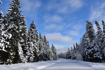 Een verlaten weg in de winter van Claude Laprise