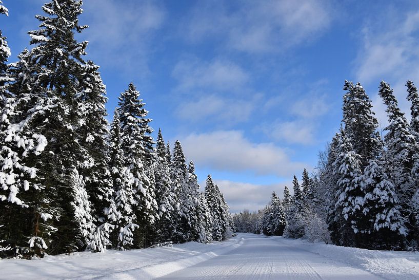 A deserted road in winter by Claude Laprise
