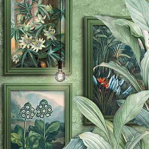 The Botanical Collection