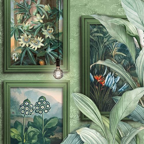 The Botanical Collection