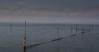 Fuiken Markermeer
