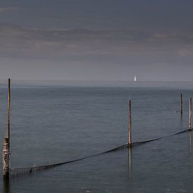 Fuiken Markermeer by Karel Frieswijk