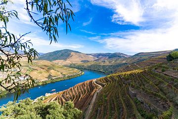 Reisreportage: Porto en wijngebied langs de Douro van Mark Litjens Art