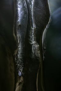 Icicle | Photo abstraite | Fine Art
