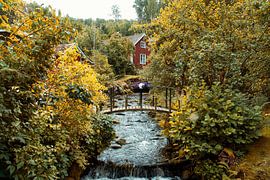 Obstbäume an einem Bach mit einer kleinen Brücke vor einem roten Holzhaus in Schweden. von Martin Köbsch