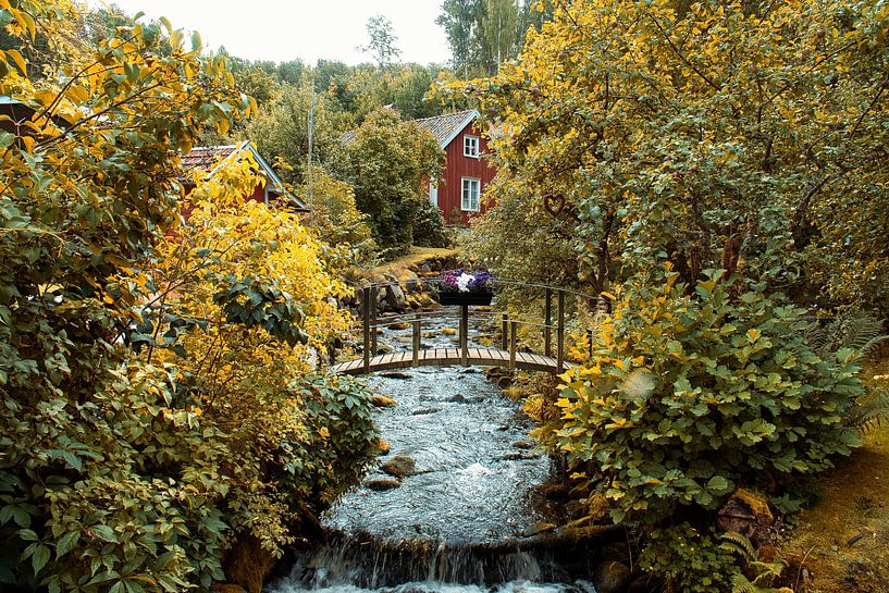 Fruit trees by a stream with a small bridge in front of a red wooden house in Sweden. by Martin Köbsch