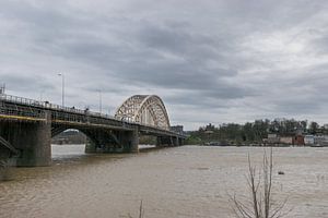 Waalbrücke in Nimwegen bei Hochwasser