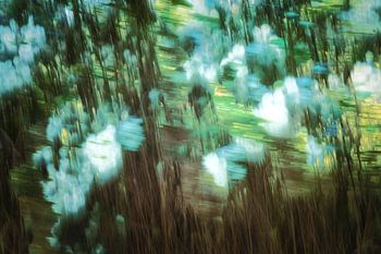 Abstrakter Rosentraum