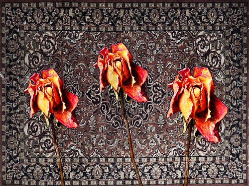 its been a good year for the roses