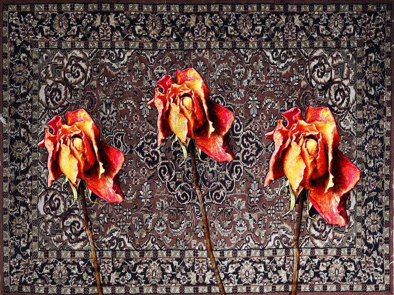 its been a good year for the roses by walter haenen