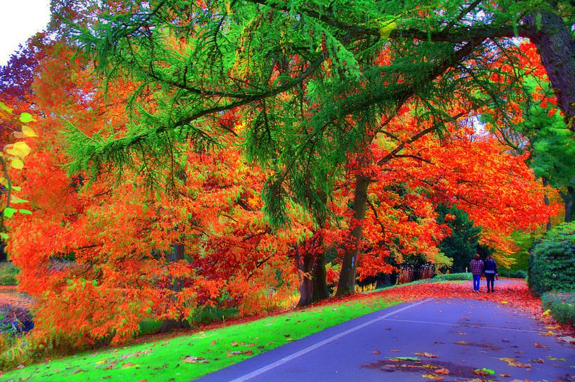Promenade d'automne à Gladbeck par Edgar Schermaul