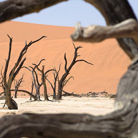 Deadvlei doorkijkje Namibië sur Maurits Kuiper