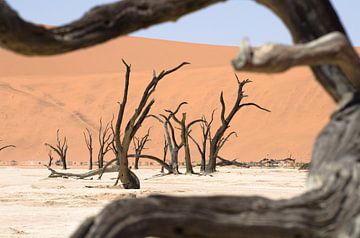 Deadvlei doorkijkje Namibië van Maurits Kuiper