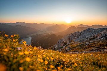 Bloemrijk uitzicht op de bergen van Tannheim bij zonsondergang